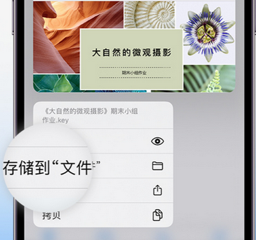 伊州apple维修中心分享iPhone文件应用中存储和找到下载文件