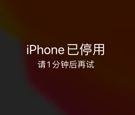 伊州苹果手机维修分享:iPhone 显示“不可用”或“已停用”怎么办？还能保留数据吗？ 