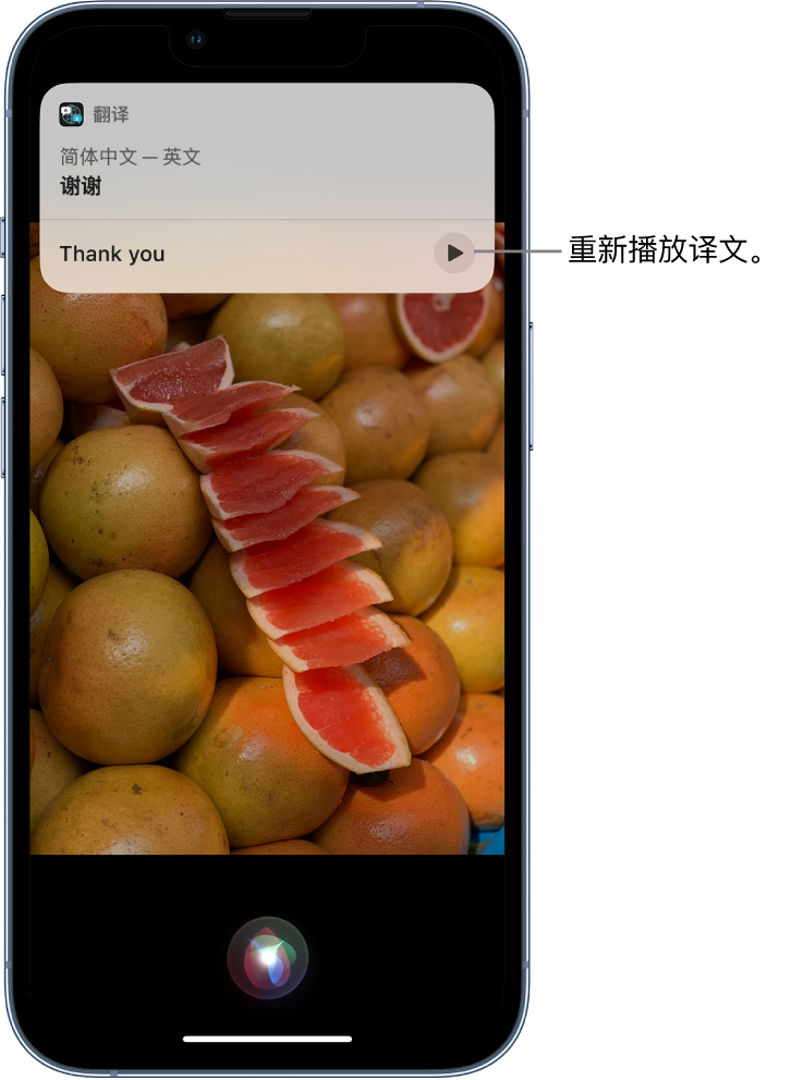 伊州苹果14维修分享 iPhone 14 机型中使用 Siri：了解 Siri 能帮你做什么 
