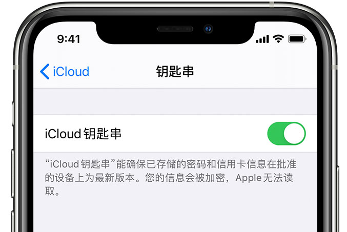 伊州苹果手机维修分享在 iPhone 上开启 iCloud 钥匙串之后会储存哪些信息 