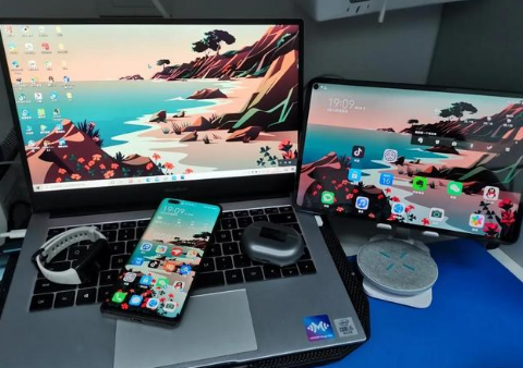 伊州苹果手机维修分享为什么iPad屏幕更大价格却比iPhone低 