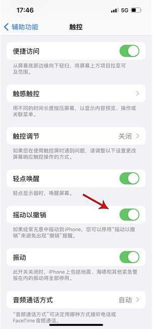 伊州苹果手机维修分享iPhone手机如何设置摇一摇删除文字 